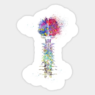 Brain and cervical Sticker